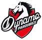 HC Dynamo Pardubice