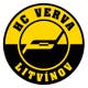 HC Litvinov