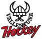 Vallentuna Hockey