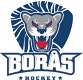 Borås HC