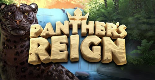 Panther's Reign