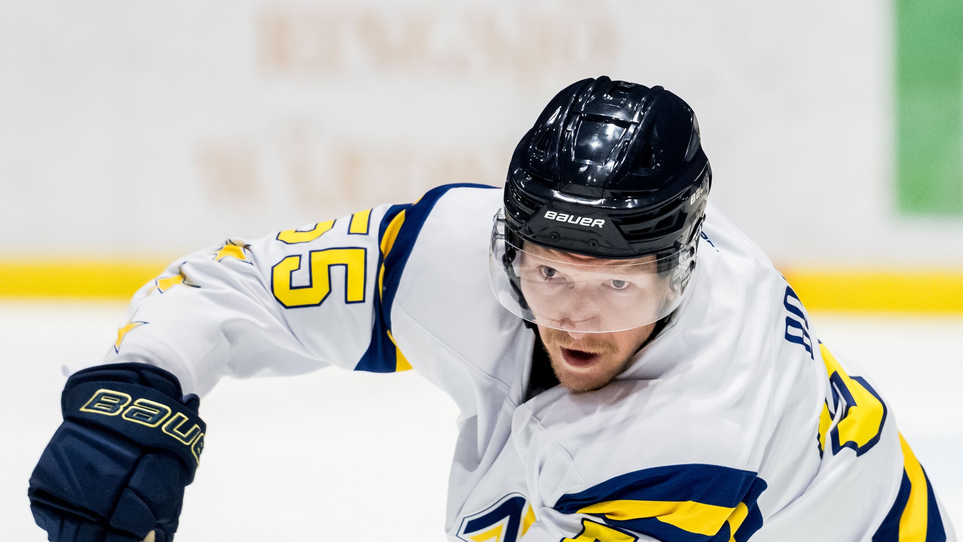 HV71 Andreas Borgman