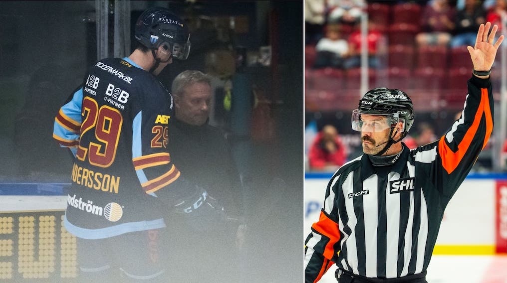 (29023) Wessner Axel Andersson