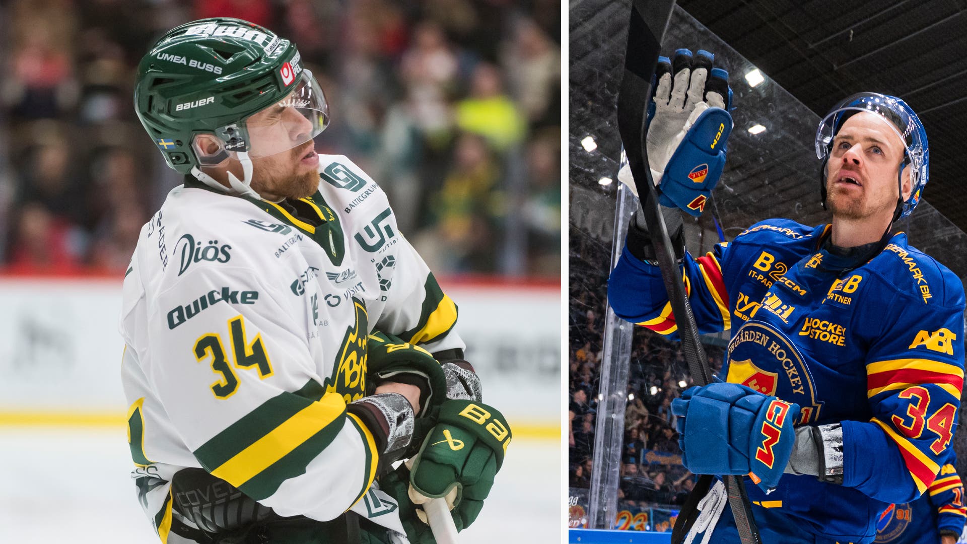 Daniel Brodin