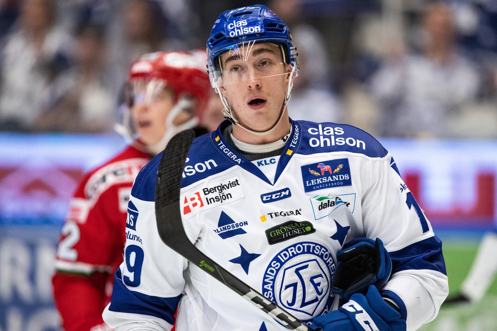 (8398) Tobias Forsberg