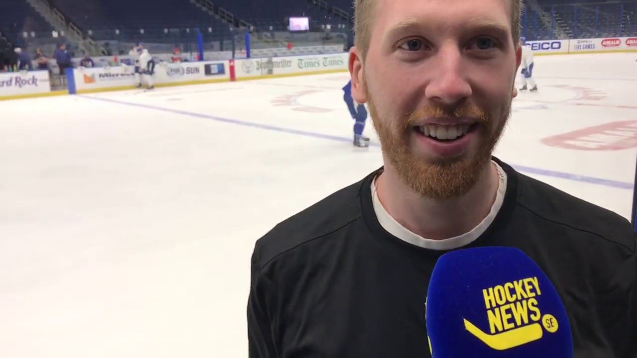 (10492) Svenskt fan