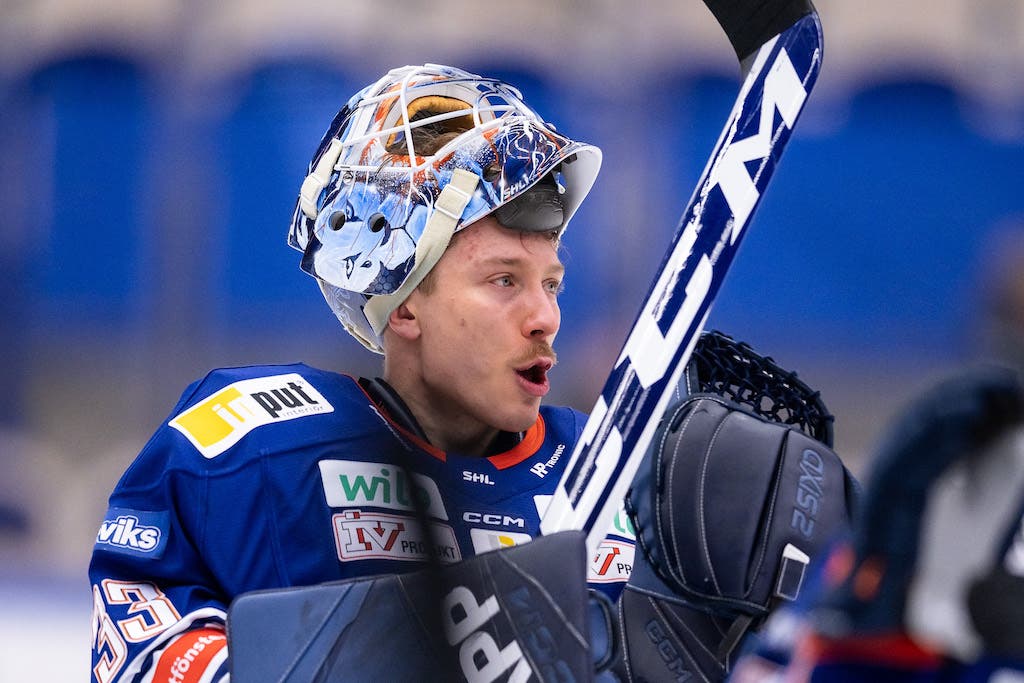 (25974) Emil Larmi Växjö