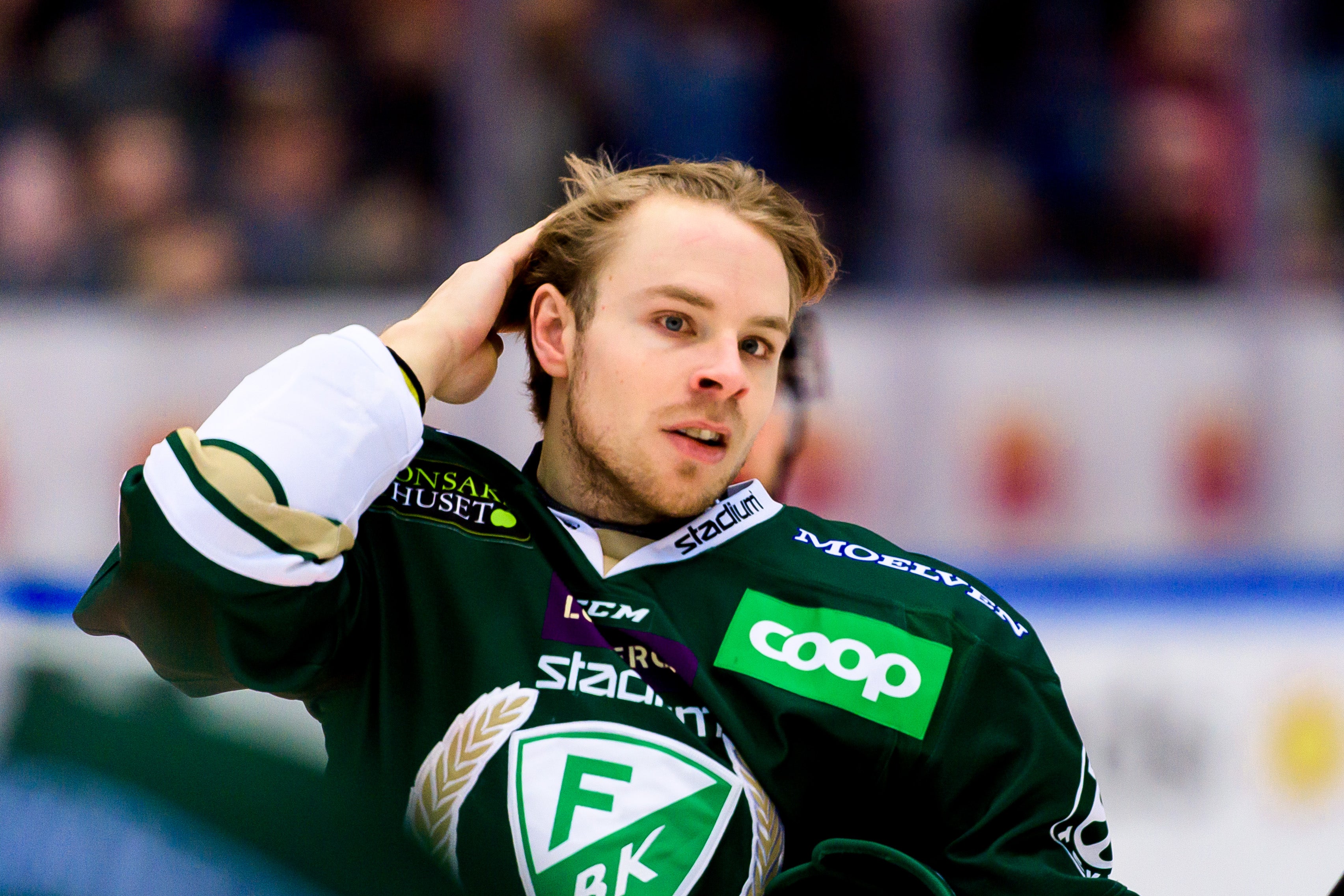 (13586) Forslund