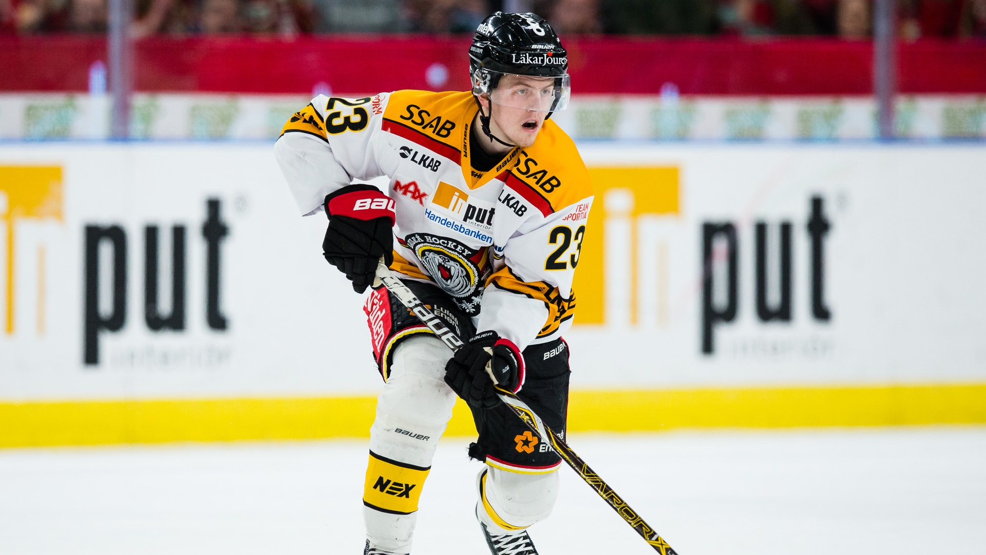 (8835) Jesper Sellgren