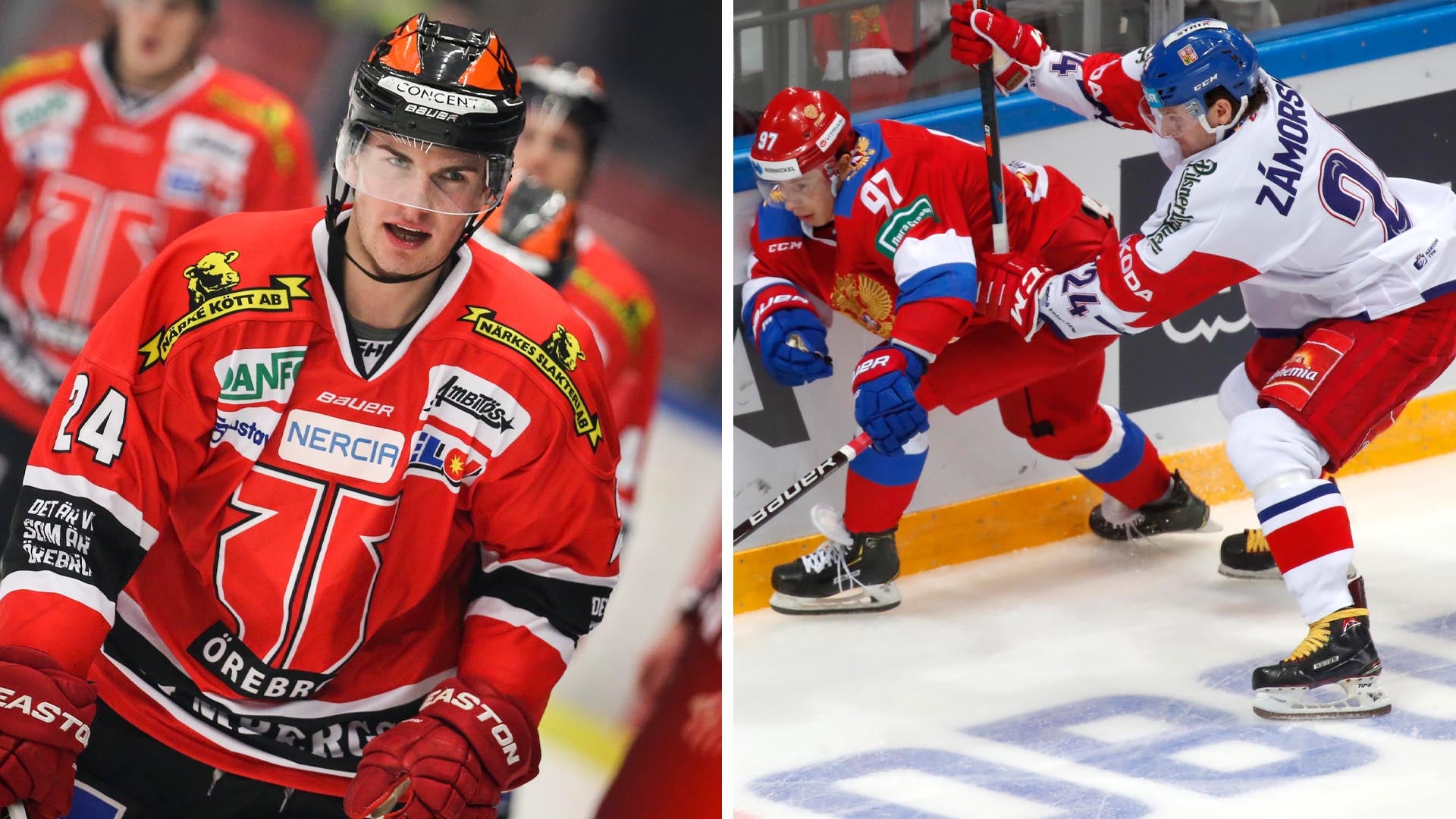 (20509) Petr Zamorsky