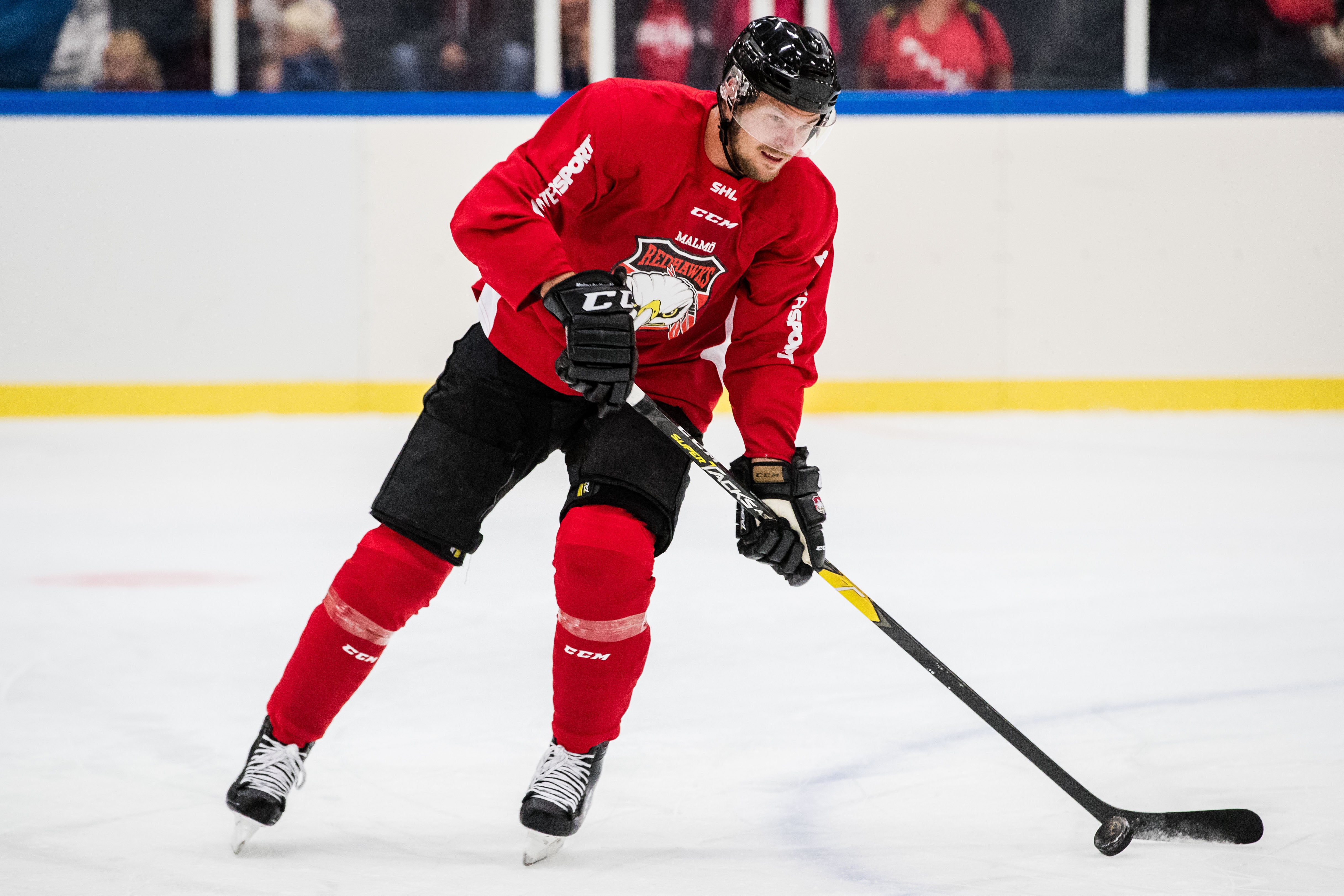 (4308) Emil Molin/Malmö Redhawks