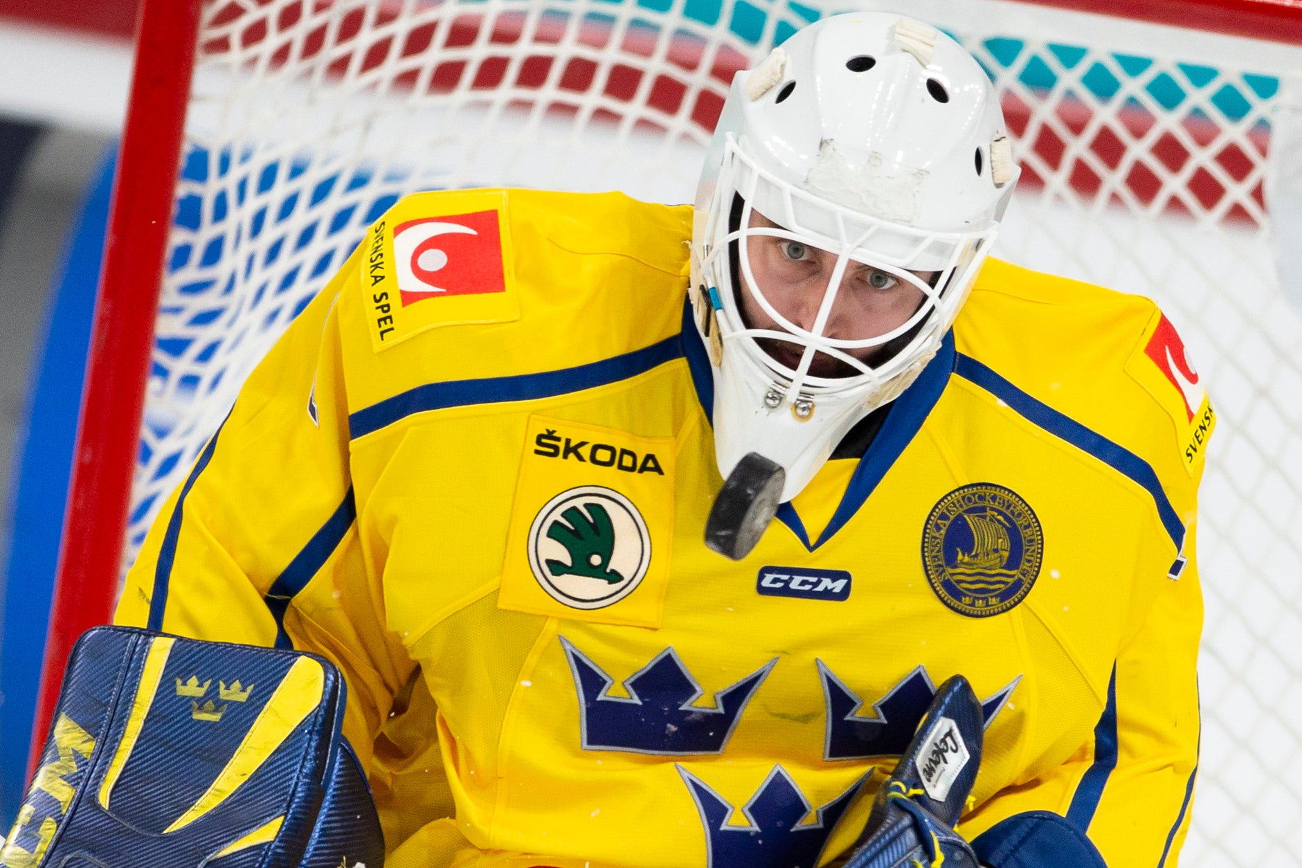 (12617) Jhonas Enroth