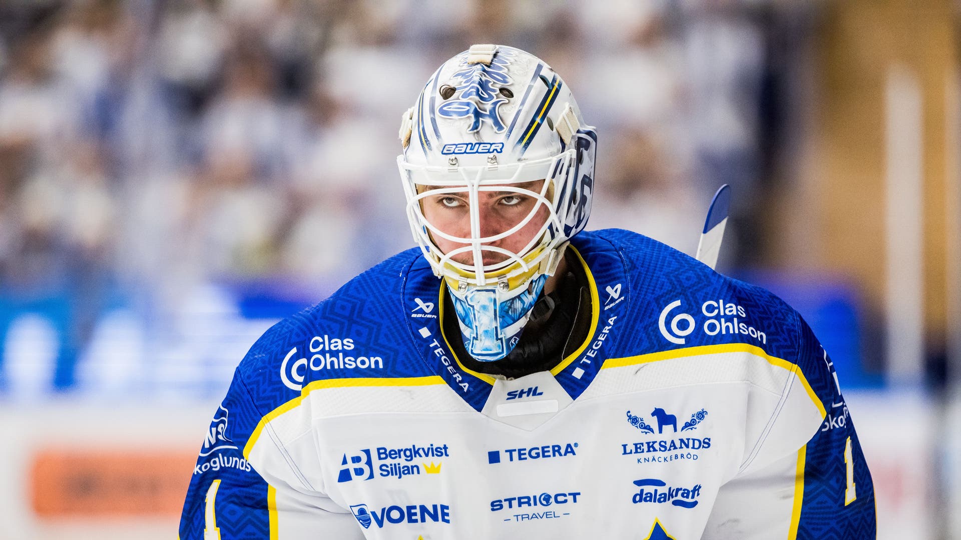 Marcus Gidlöf