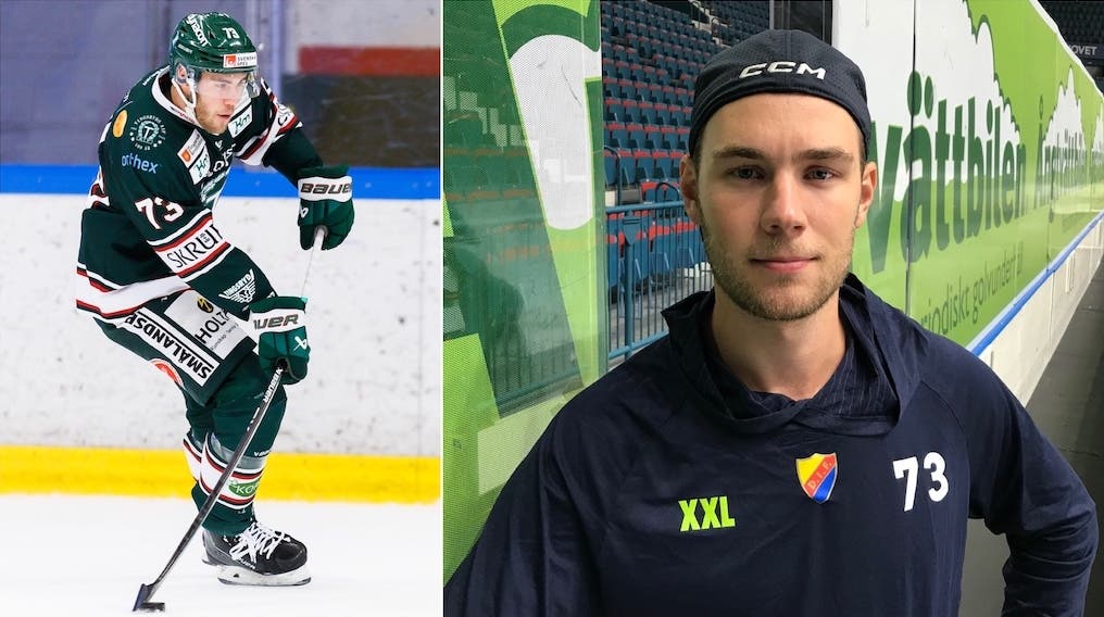 (28694) Anton Gradin