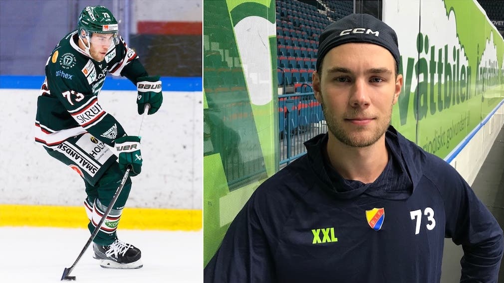 (28694) Anton Gradin