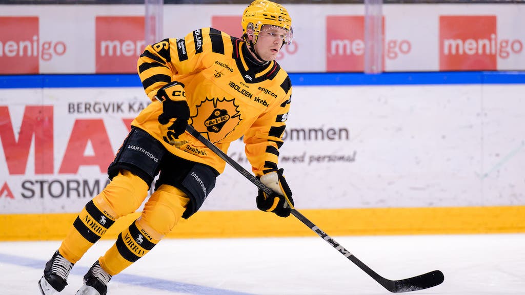 Måns Forsfjäll