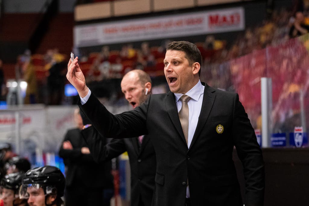 (19105) Josef Boumedienne/Brynäs coach