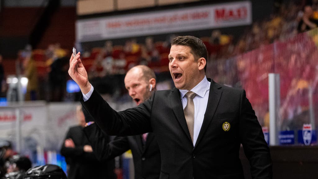 (19105) Josef Boumedienne/Brynäs coach