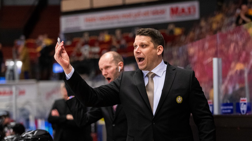 (19105) Josef Boumedienne/Brynäs coach