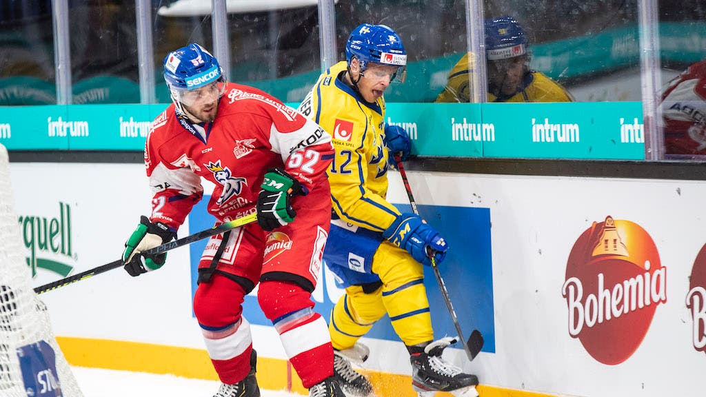 (18835) Michael Spacek/Tjeckien