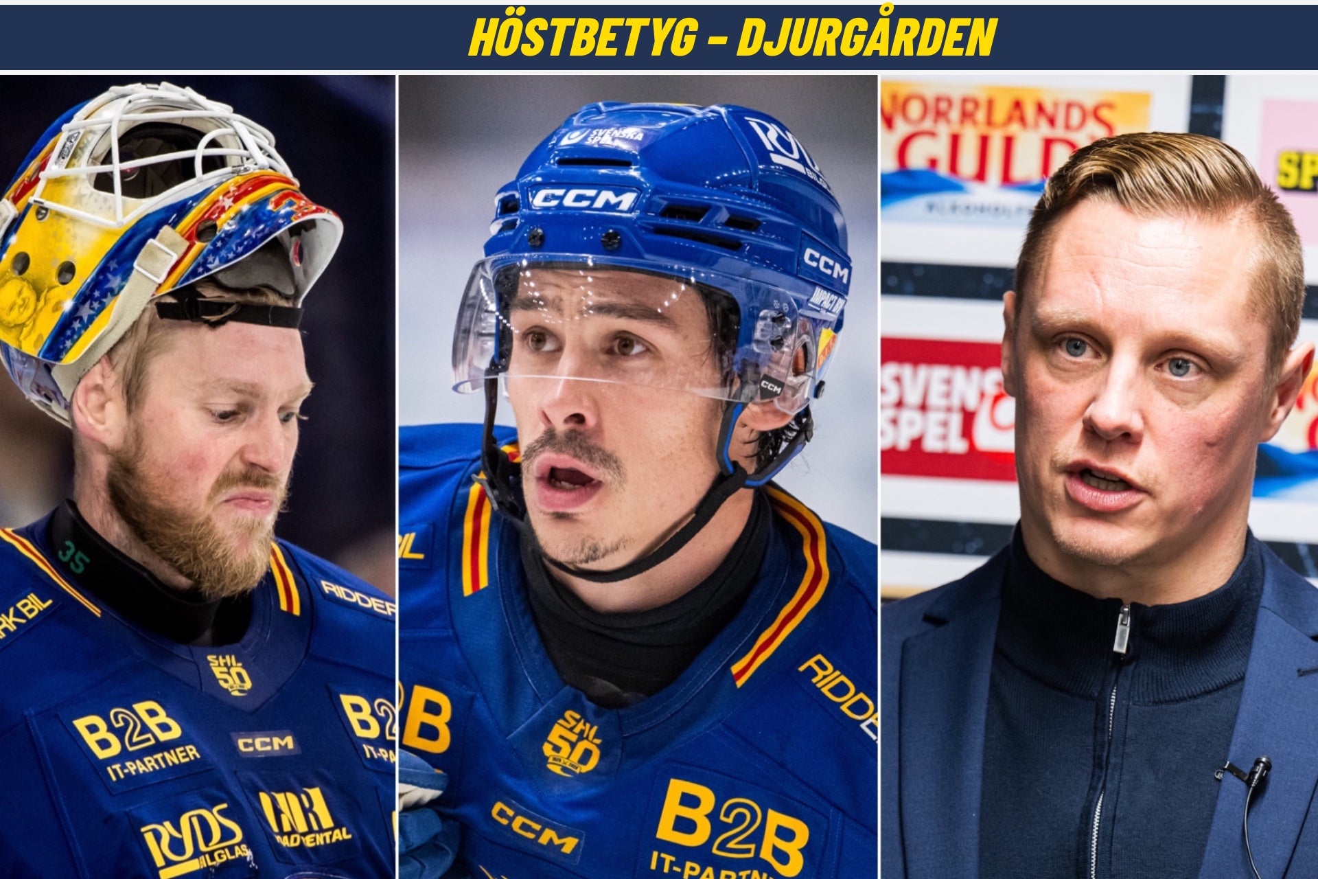 Höstbetyg Djurgårdens IF