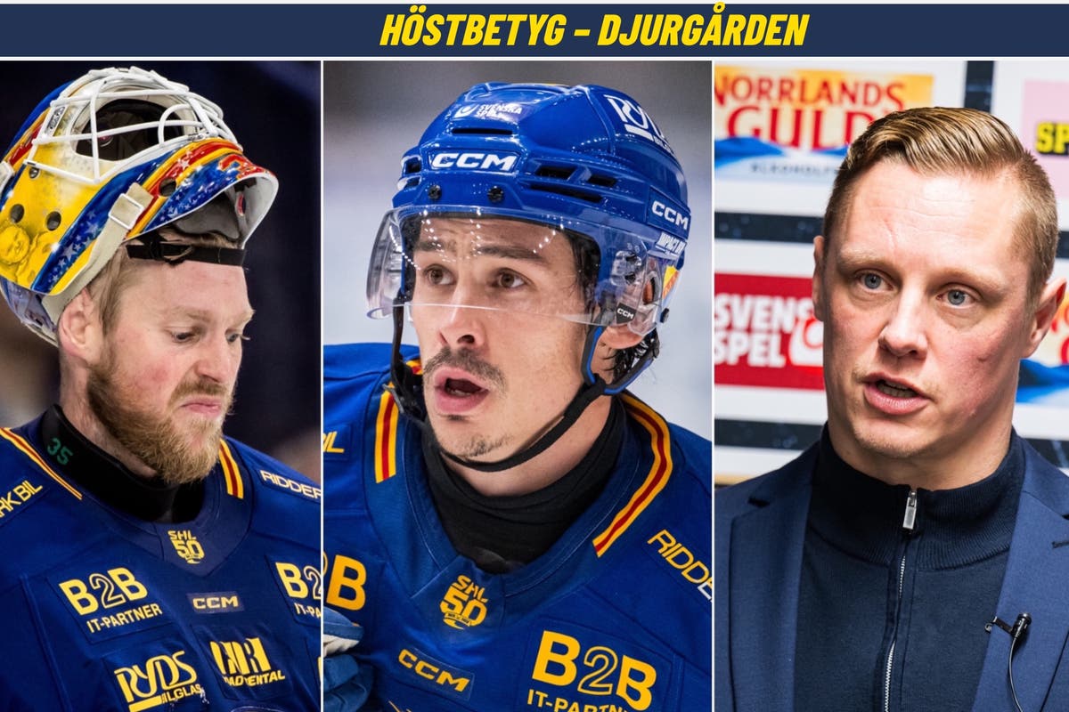 Höstbetyg Djurgårdens IF