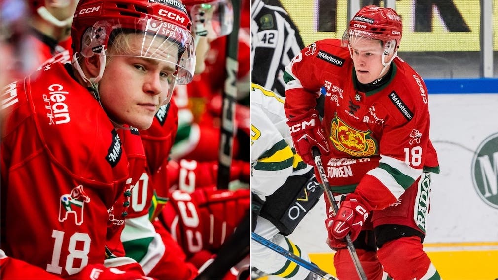 Martin Johnsen