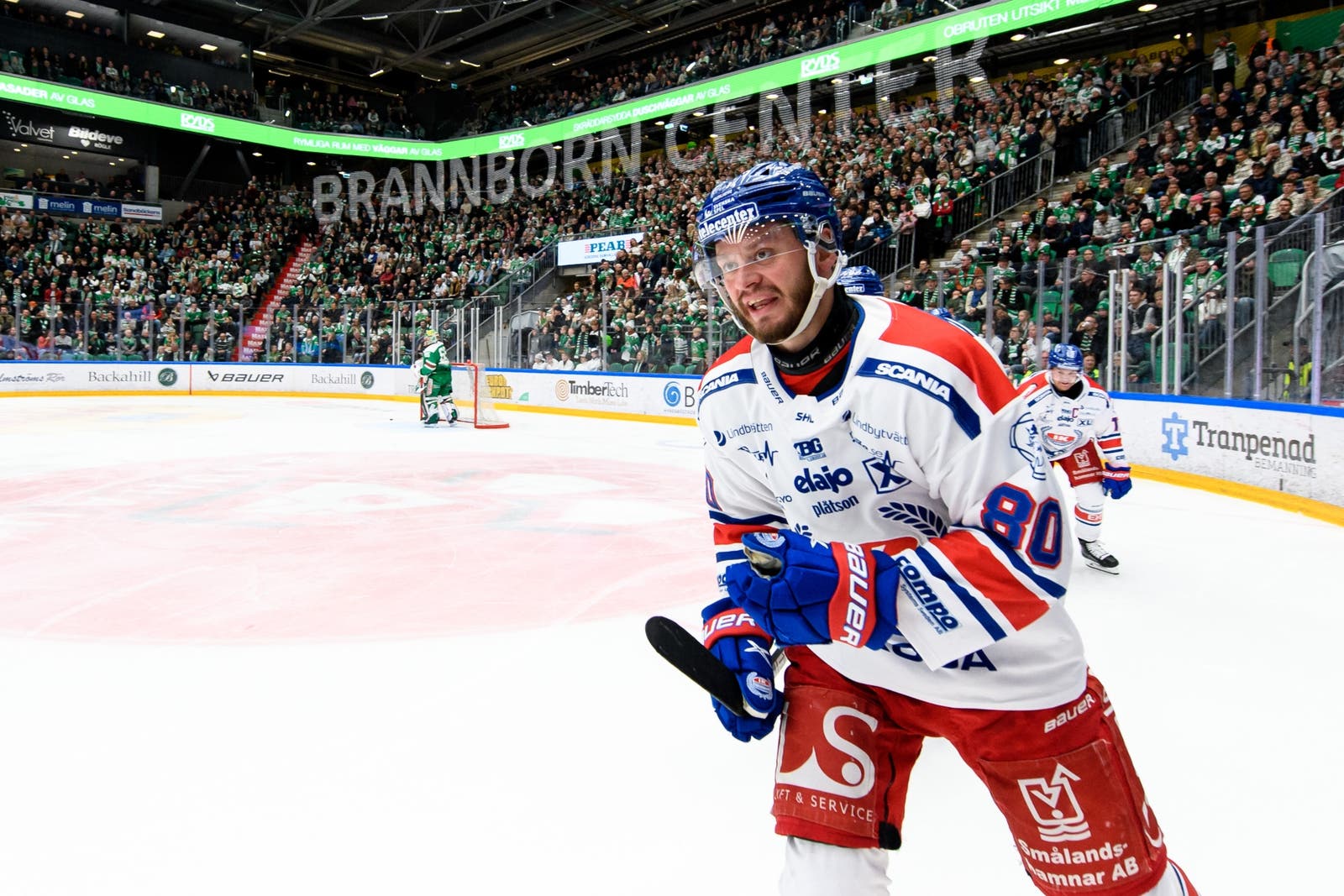 (24142) Tomas Zohorna