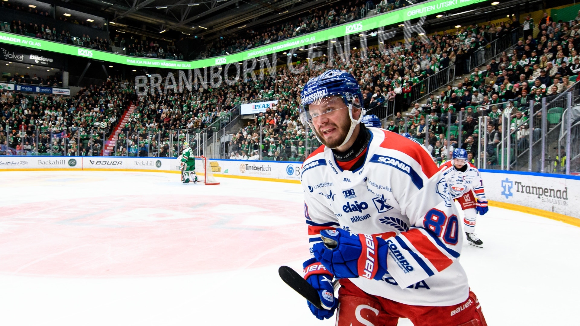 (24142) Tomas Zohorna