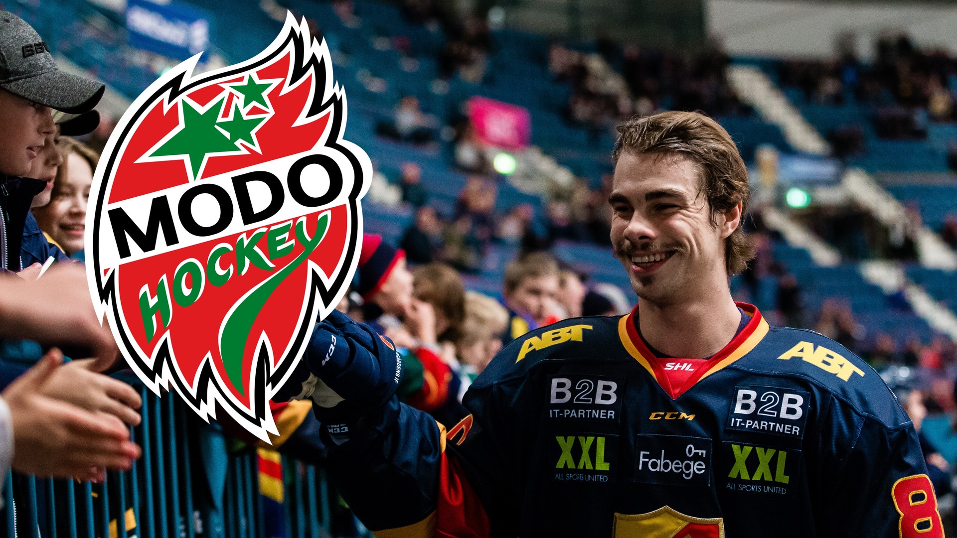 (13660) Gustav Possler/Modokollage