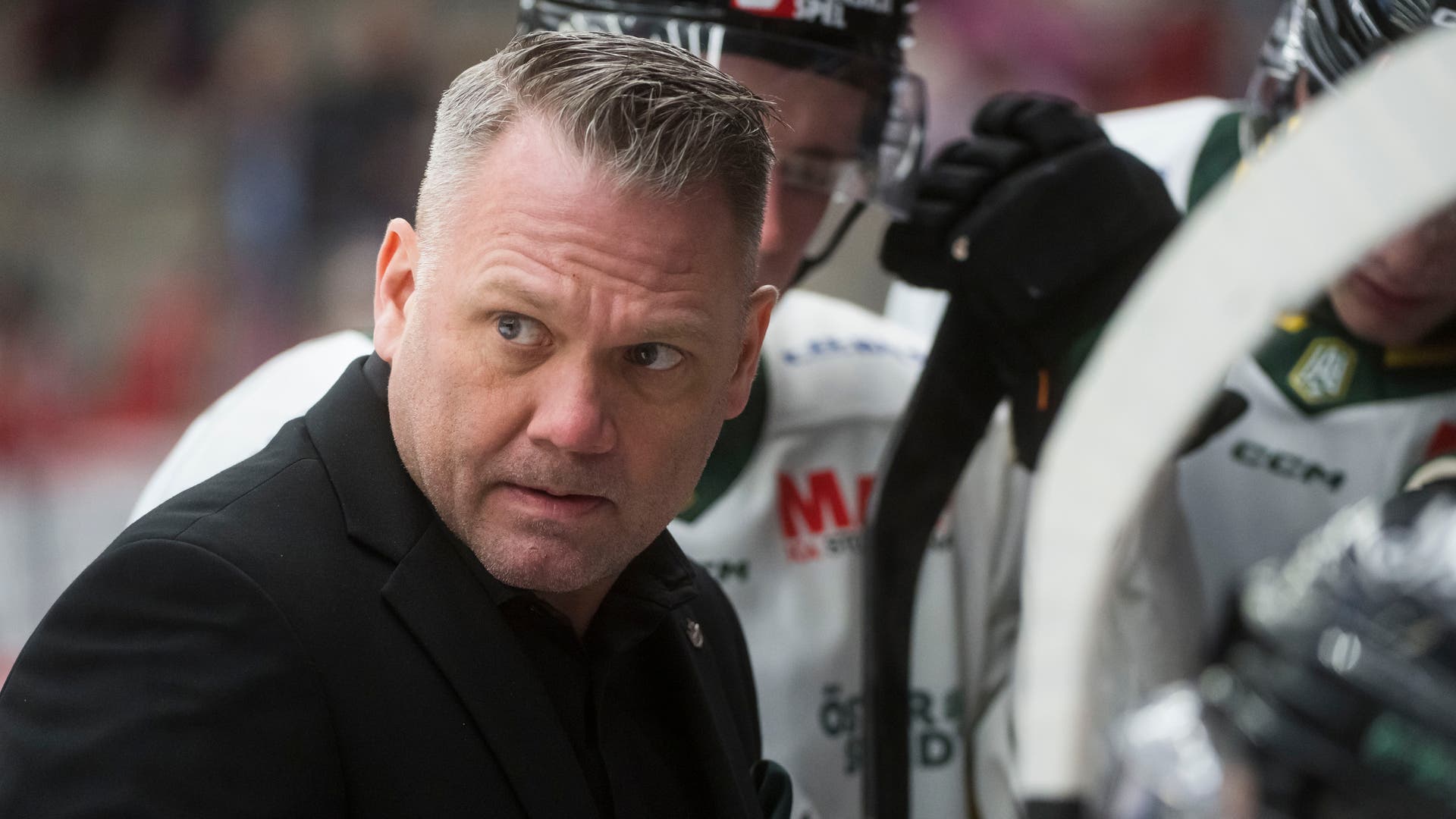 Mikael Holmqvist