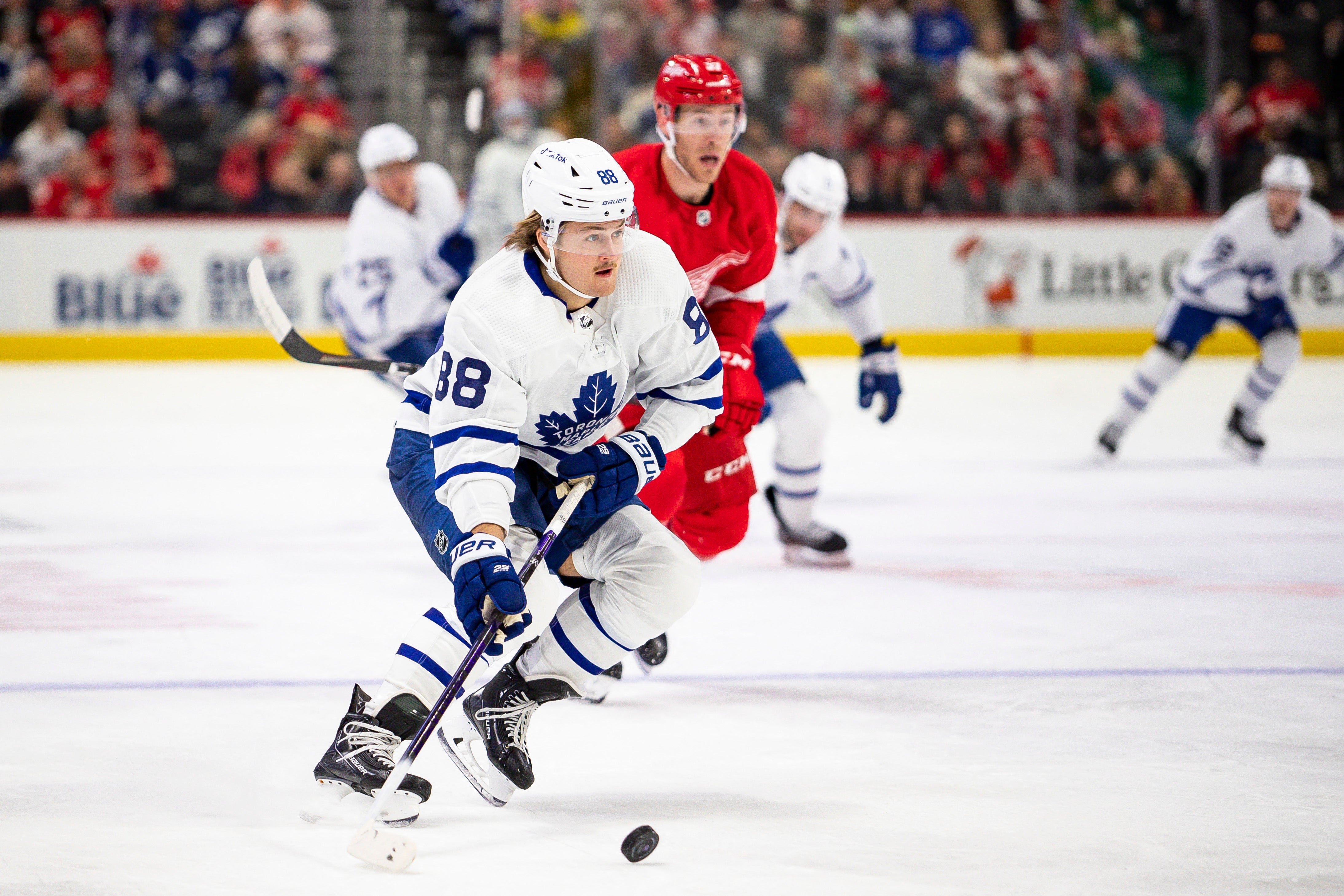 (22504) William Nylander