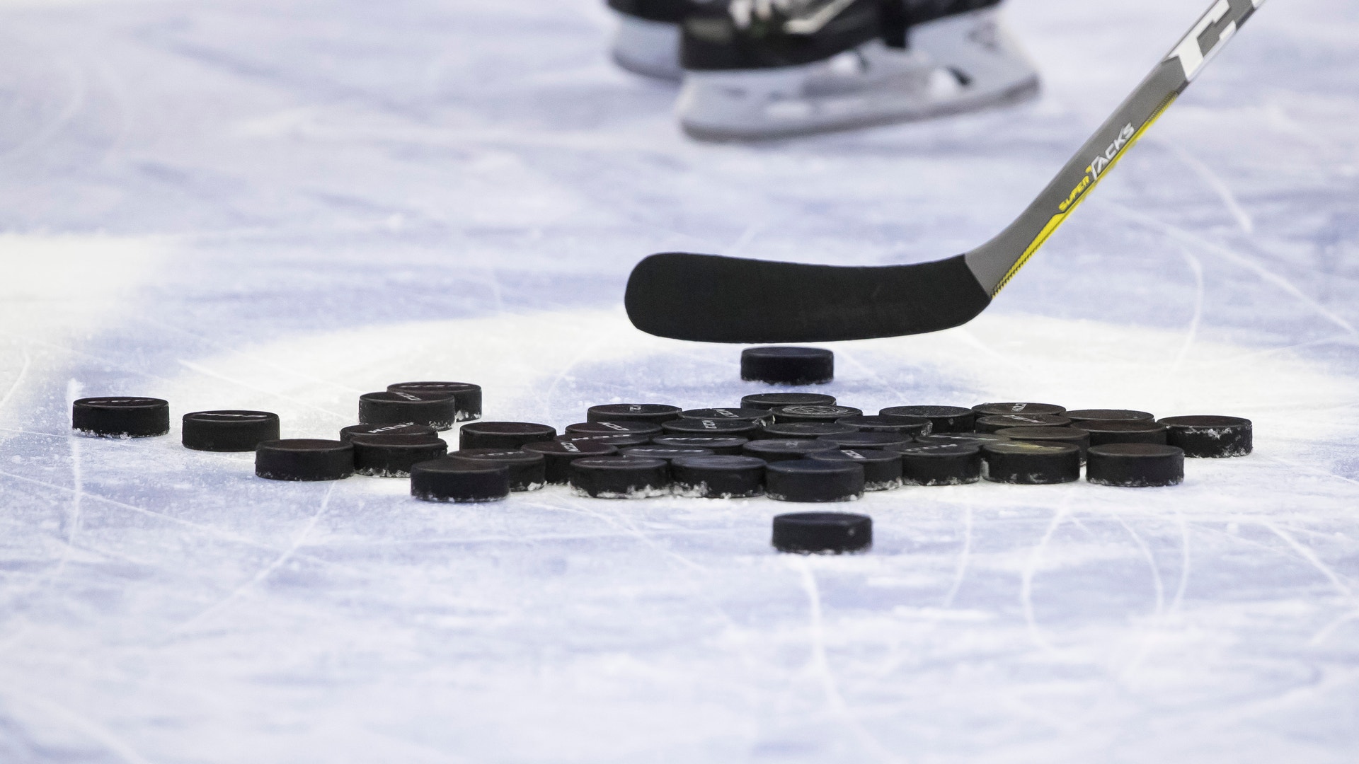 Daniel Eriksson/Bildbyrån