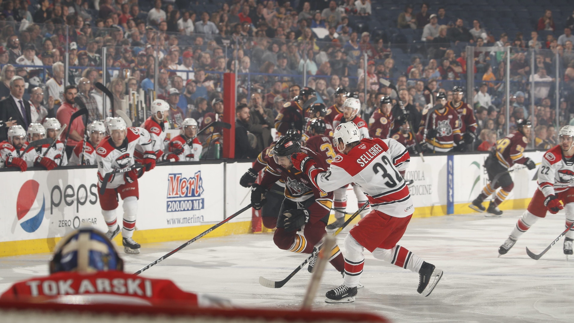 Ross Dettman/Chicago Wolves