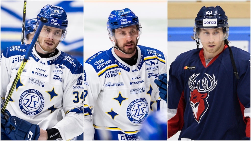 (19960) Cehlarik/Hrivik/Kloos