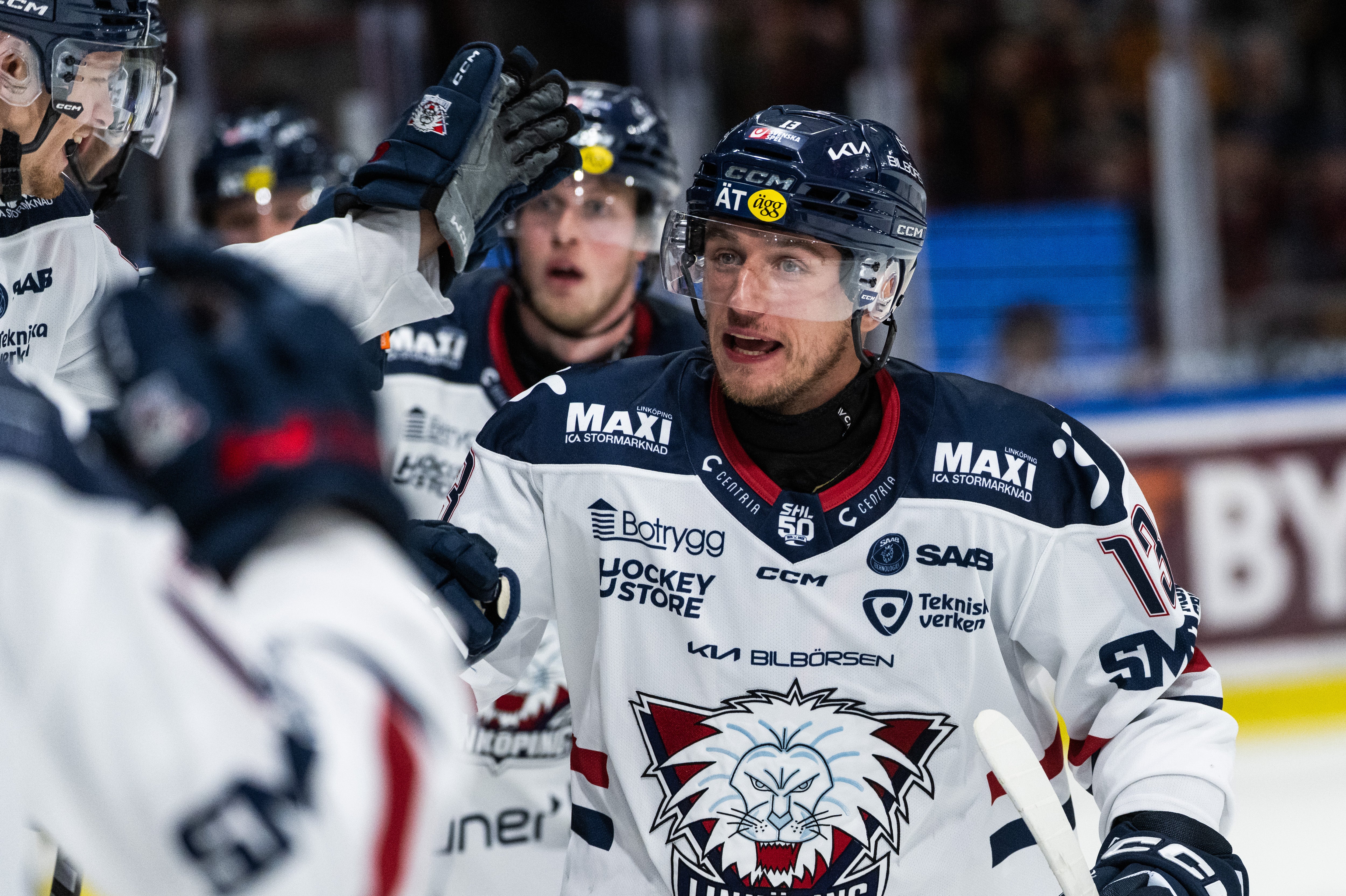 Vrana