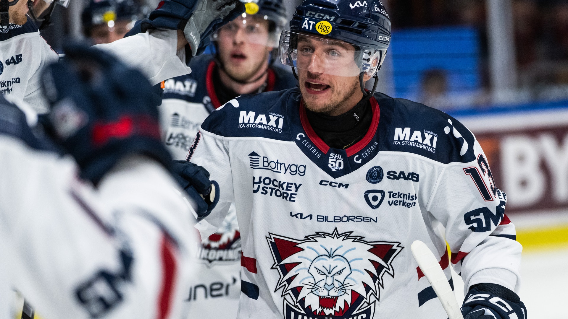 Vrana