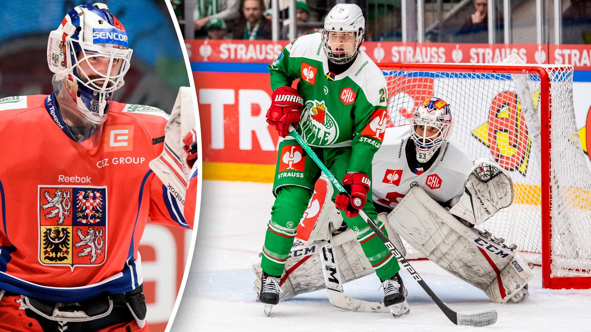 (21986) Alexander Salak