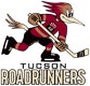 Tucson Roadrunners