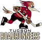 Tucson Roadrunners
