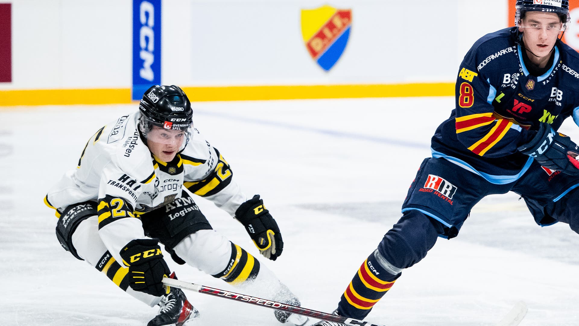 Theo Hårdstam