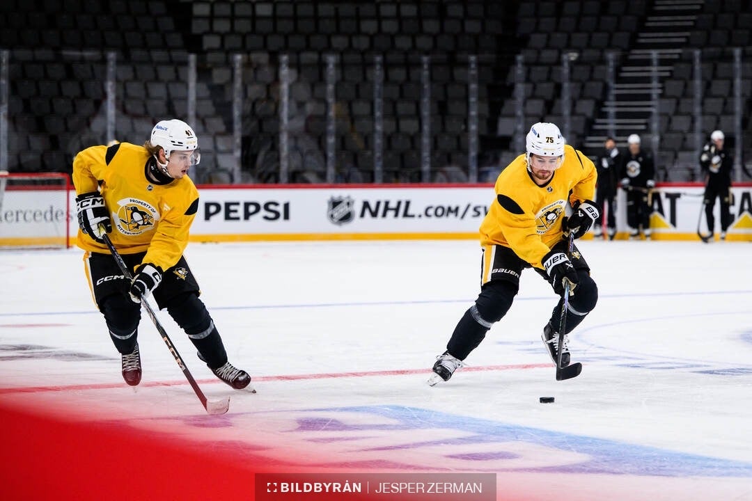 Två ishockeyspelare i gula och svarta tröjor spelar på isen under en NHL-match.