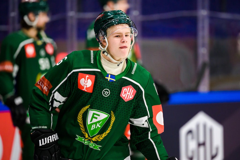 (25730) Martin Johnsen Färjestad