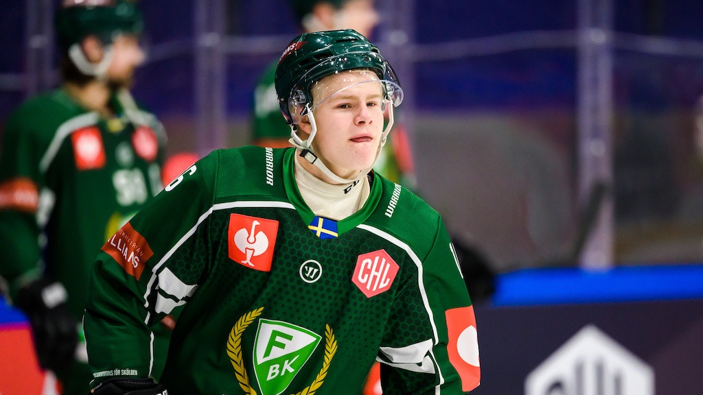 (25730) Martin Johnsen Färjestad