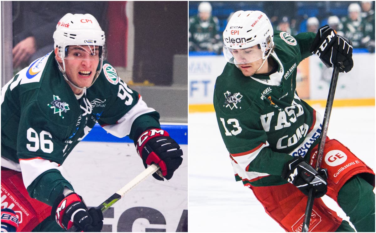 (17453) Fetkovic/Lavoie