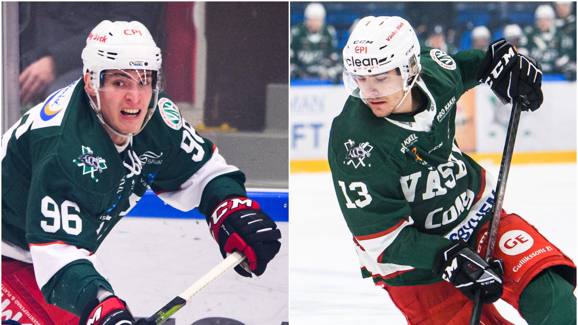 (17453) Fetkovic/Lavoie