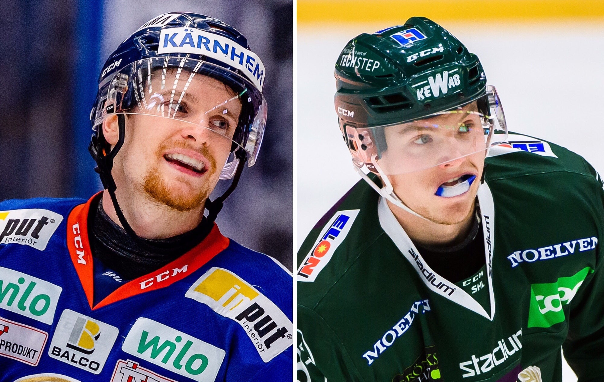 (6728) Shinnimin/Ottosson