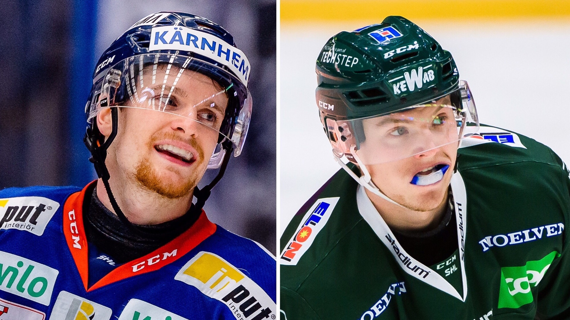 (6728) Shinnimin/Ottosson