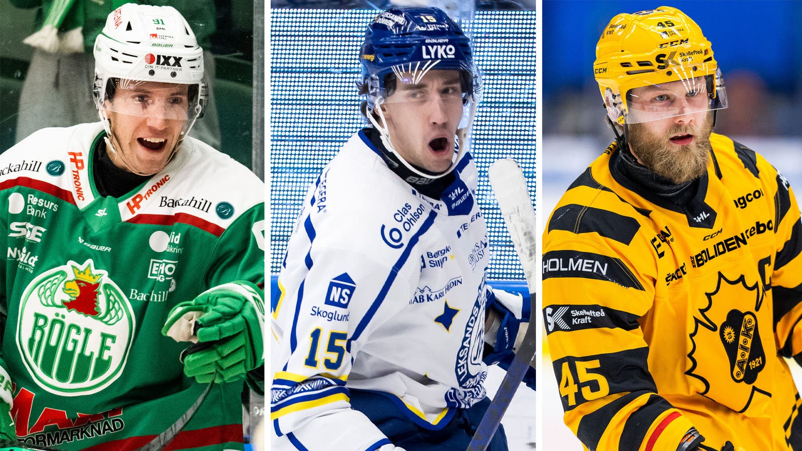 (28675) malskyttar shl