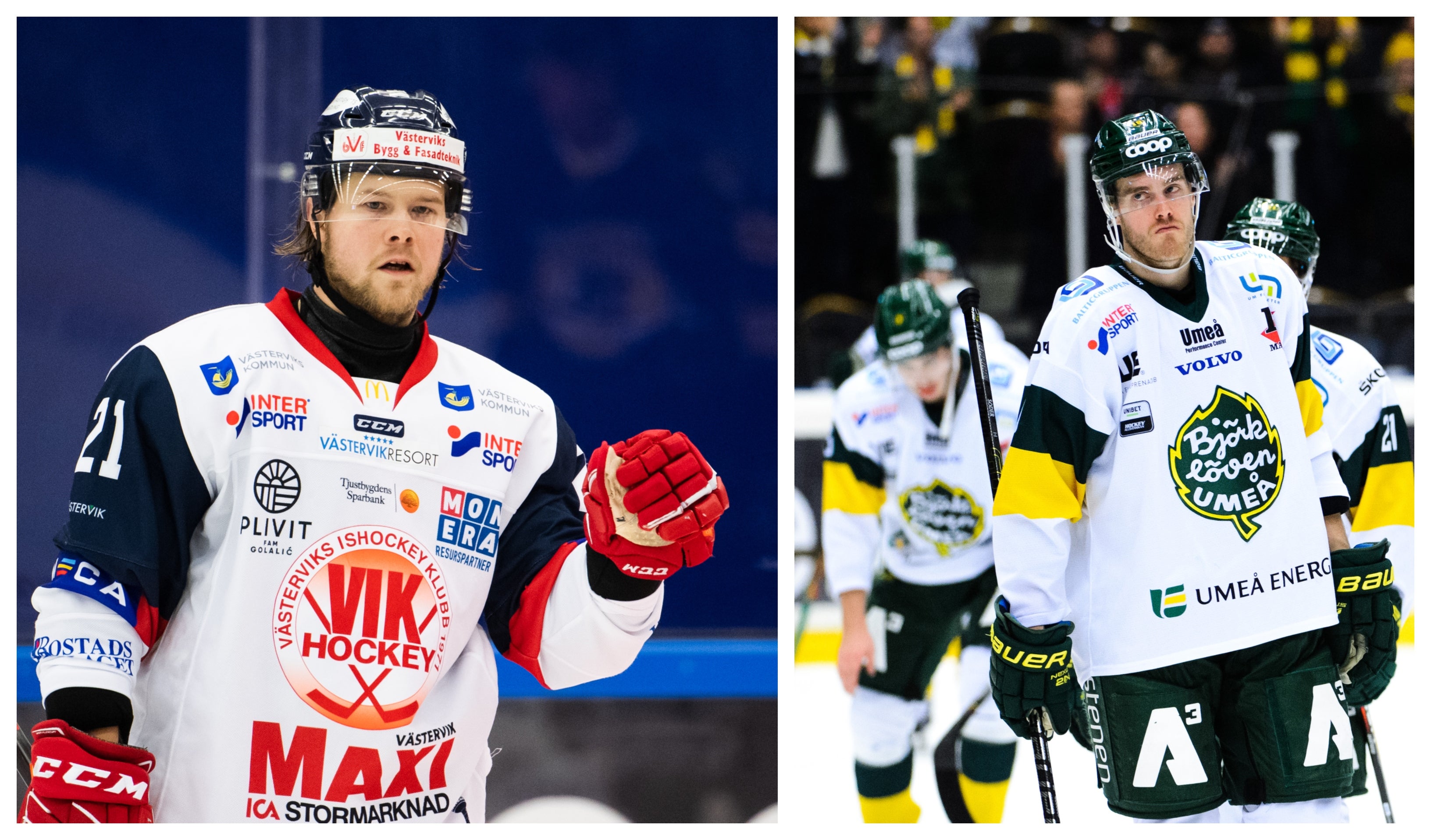 (11300) HA-svep december